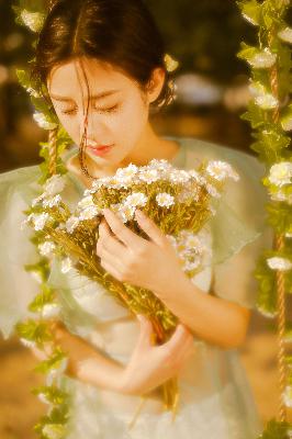 珠帘玉幕电视剧免费观看完整版