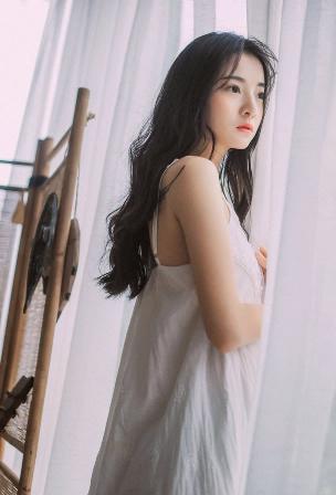 沧元图在线观看全集免费高清